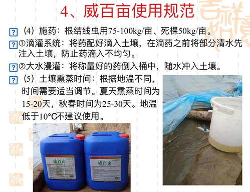 必不可少，土壤消毒让老产区焕发新活力