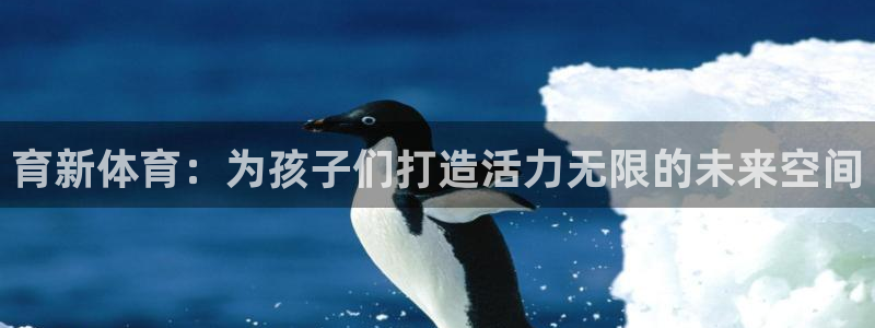 搜球体育下载：育新体育：为孩子们打造活力无限的未来空间