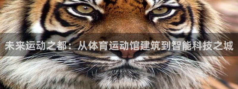 搜球体育NBA