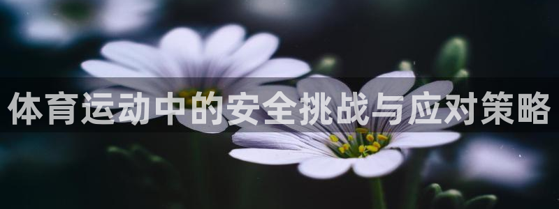 搜球体育下载