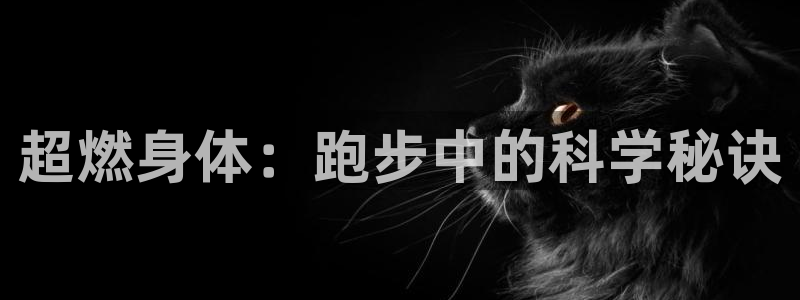 搜球体育怎么登录账号