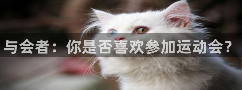 搜球体育下载：与会者：你是否喜欢参加运动会？