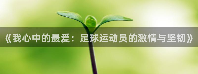 搜球体育官网：《我心中的最爱：足球运动员的激情与坚韧》