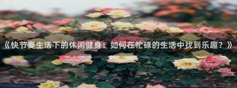 搜球体育app下载