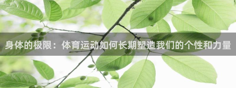 搜球体育在线观看：身体的极限：体育运动如何长期塑造我们的个性和力量