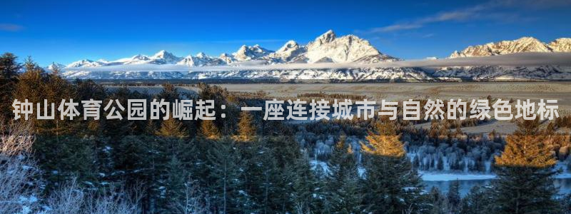 搜球体育辛纳